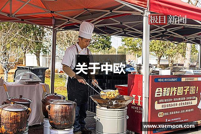 关于中欧